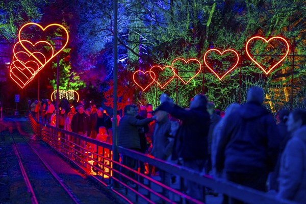 Parkleuchten, event in winter, in the Grugapark in Essen, many different light installations, across the park, attract many thousands of visitors, North Rhine-Westphalia, Germany, Europe