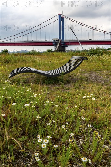 Mercatorinsel, between the Rhine and the harbour canal in Duisburg-Ruhrort, Friedrich-Ebert-Brücke, sun lounger on a flower meadow, former harbour area, Duisburg, North Rhine-Westphalia, Germany, Europe