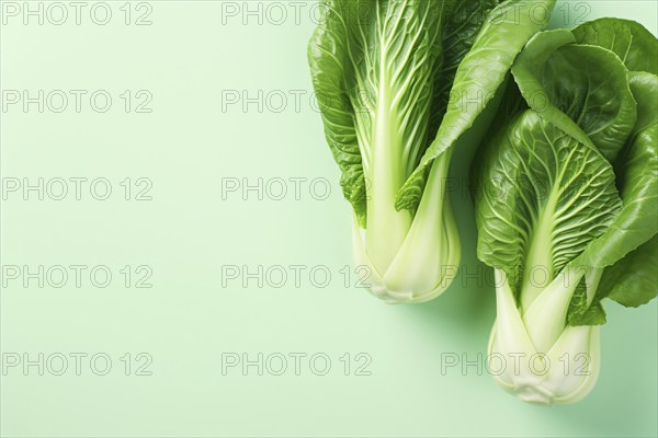 Two boy choy vegetables on mint green background with copy space. KI generiert, generiert AI generated
