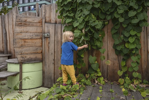 Little girl, 3 years, blonde, playing, adventure playground, playground, Stuttgart, Baden-Württemberg, Germany, Europe