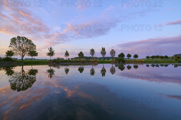 Lake in spring with row of trees and reflection at sunset, Drei Gleichen, Ilm-Kreis, Thuringia, Germany, Europe