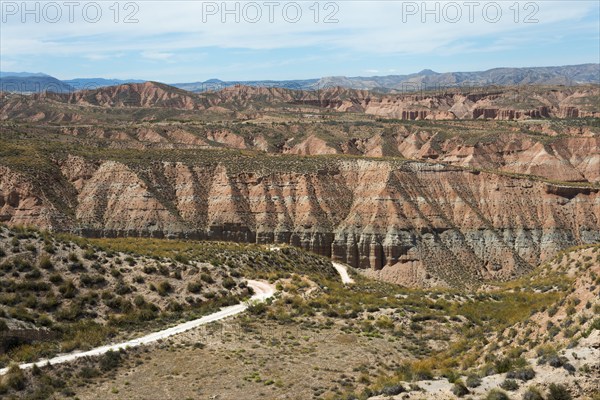 Wide hilly desert landscape with dry vegetation and gentle slopes under a slightly cloudy sky, Los Colorados, Gorafe Desert, Granada, Andalusia, Spain, Europe