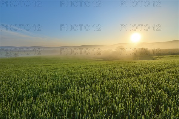 A picturesque sunrise over a wide green field and a gentle hilly landscape, Mönchberg, Mltenberg, Spessart, Bavaria, Germany, Europe