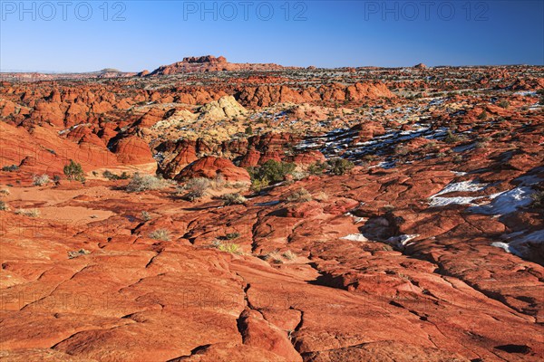 Coyote Buttes North, Sandstone area, Arizona, USA, North America