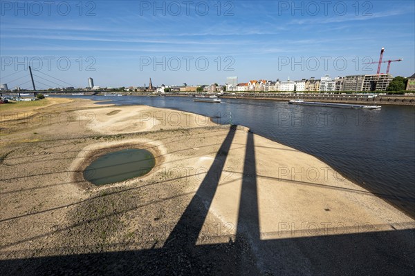 Rhine at Düsseldorf, extremely low water, Rhine level at 81 cm, tendency falling, after a long drought the left bank of the Rhine is dry, at Düsseldorf Oberkassel, view from the Rheinkniebrücke to the Oberkassler Brücke North Rhine-Westphalia, Germany, Europe