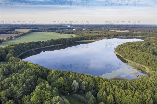 Aerial view of northern tail of lake Mirow, Mecklenburg lake district, Mecklenburg-Vorpommern, Germany, Europe