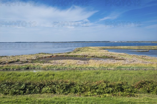 View of the Rantum Basin, Rantum Basin, Landscape, North Sea, Island, Sylt, Germany, Europe