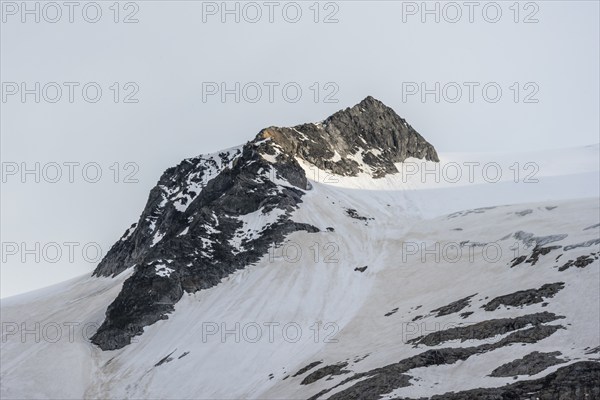 Gipfel Felsköpfel below the Schwarzenstein with Schwarzensteinkees, Zillertal Alps, Tyrol, Austria, Europe