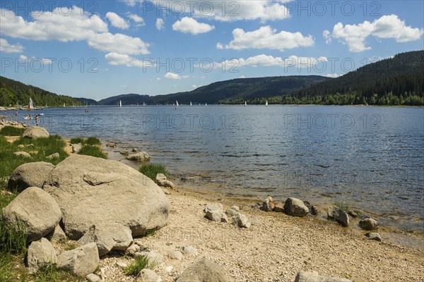 Lake in the mountains and beach in summer, Schluchsee, Black Forest, Baden-Württemberg, Germany, Europe