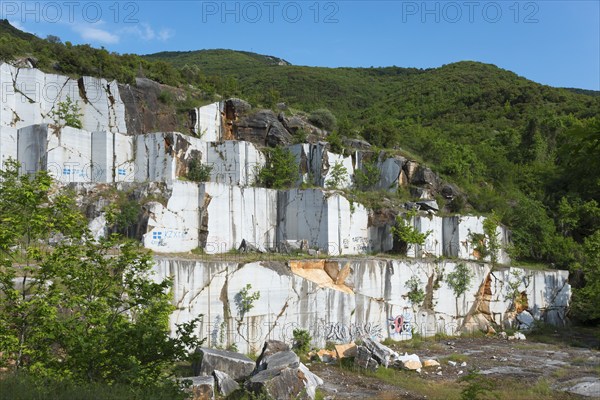 Abandoned quarry with white rock walls surrounded by trees, Kavala, Dímos Kaválas, Eastern Macedonia and Thrace, Greece, Europe
