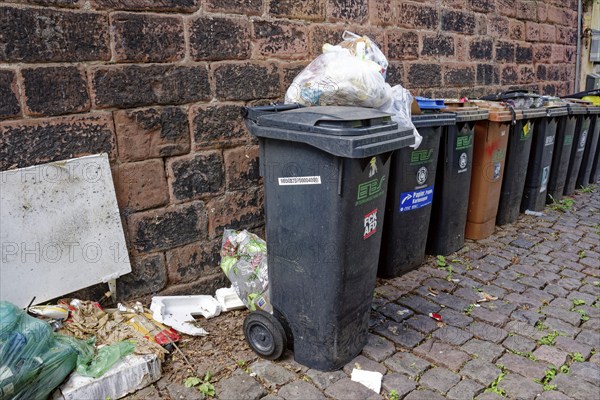 Overfilled rubbish bins on the street, environment, environmental pollution, Speyer, Rhineland-Palatinate, Germany, Europe