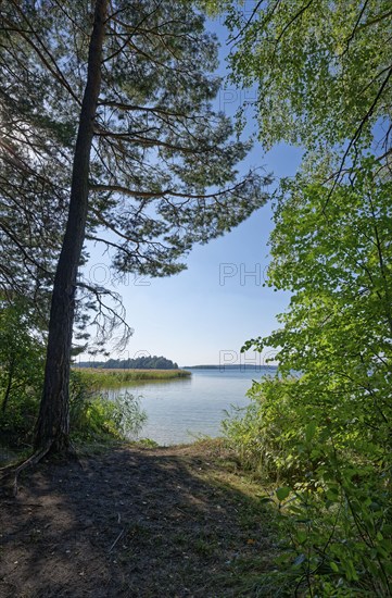 Bathing area and leisure facilities on the eastern shore of Lake Wigry in the Wigry National Park in northern Poland. Wigry, Podlaskie, Poland, Europe