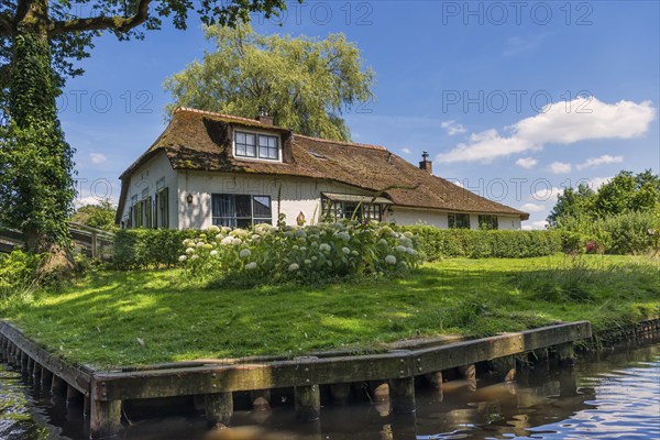 Thatched roof house, house, farmhouse, village, rural, flowers, well-kept, blue sky, architecture, tourism, travel, attraction, Giethhoorn, Netherlands