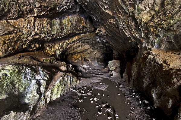 View into the Feldhof Cave, Hönnetal, Balve, Märkisches Sauerland, North Rhine-Westphalia, Germany, Europe