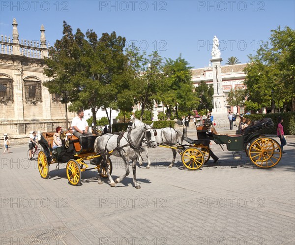 Horse and carriage rides for tourists through the historic central areas in Plaza del Triunfo, Seville, Spain, Europe