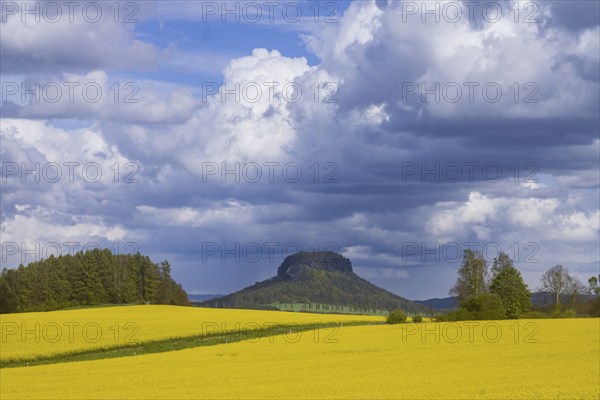 The Lilienstein is the most famous striking rock formation in Saxon Switzerland, Struppen, Saxony, Germany, Europe