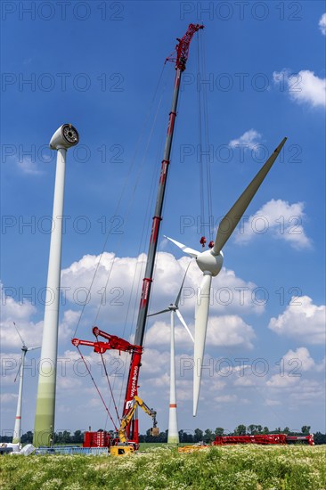 Repowering of a wind farm near Issum, 9 older wind turbines from the manufacturer Enercon (model series E-58) will be dismantled, which have been in operation for over two decades, will be replaced by a total of four Enercon E-160 turbines, under construction, with a total output of 22 megawatts, Lower Rhine, North Rhine-Westphalia, Germany, Europe