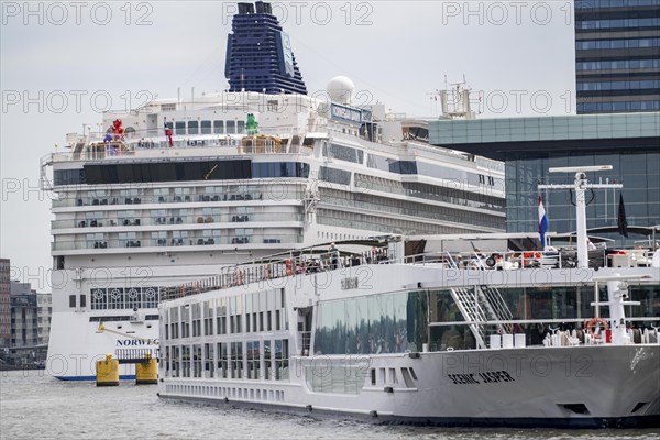 The cruise ship Norwegian Dawn at Passenger Terminal Amsterdam, Cruise Port Amsterdam, belongs to Norwegian Cruise Line, river cruise ship, Netherlands