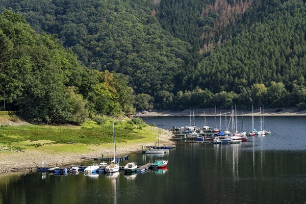 Small marina, jetty, sailing boats, view of the Rursee, Eifel National Park, North Rhine-Westphalia, Germany, Europe
