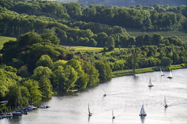 Lake Baldeney in Essen, Ruhr reservoir, view of the eastern shore, landscape in the Fischlaken district, sailing boats, North Rhine-Westphalia, Germany, Europe