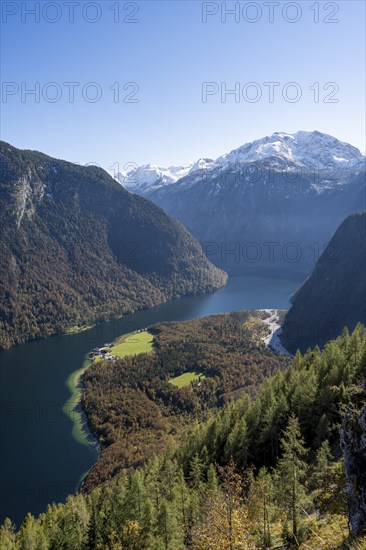 View of the Königssee from the Rinnkendlsteig mountain hiking trail, autumnal forest and snow-covered mountains, Berchtesgaden National Park, Berchtesgadener Land, Upper Bavaria, Bavaria, Germany, Europe