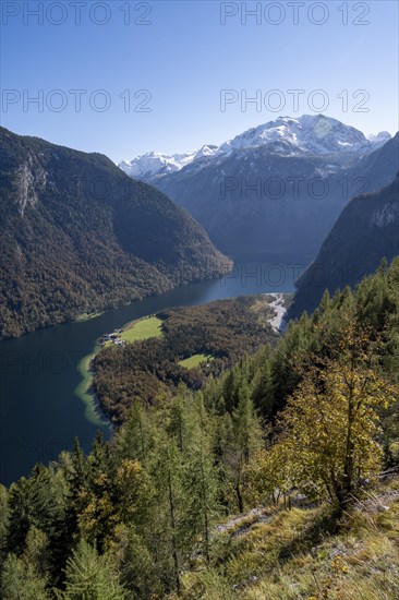 View of the Königssee from the Rinnkendlsteig mountain hiking trail, autumnal forest and snow-covered mountains, Berchtesgaden National Park, Berchtesgadener Land, Upper Bavaria, Bavaria, Germany, Europe