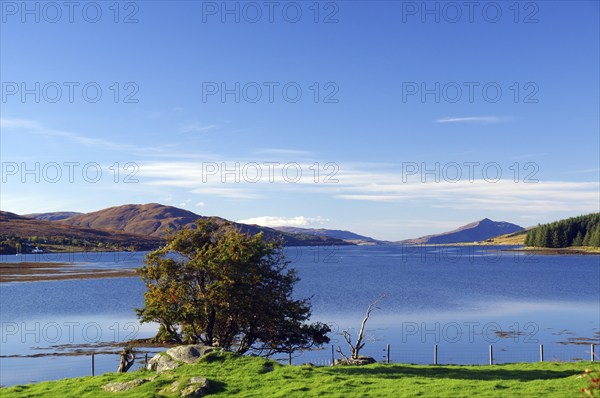 Calm sound with trees and hills in the background under a clear sky, October, Cullins, Hebrides, Isle of Skye, Hebrides, Scotland, United Kingdom, Europe