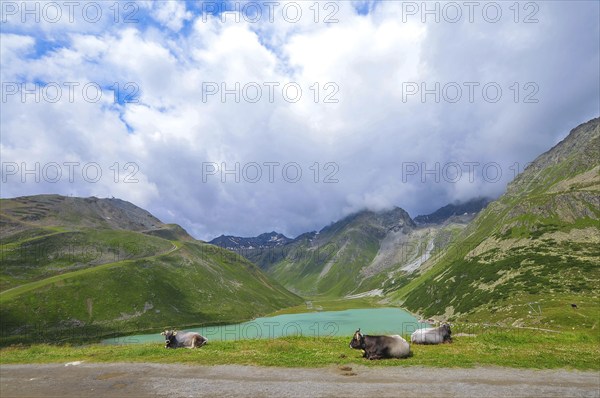 View of the Riffelsee in Pitztal, Tyrol, Austria, Europe
