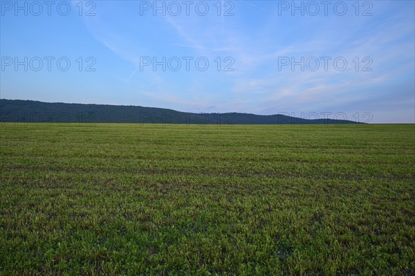 Wide green field under a blue sky with clouds and distant mountains, summer, Mönchberg, Mltenberg, Spessart, Bavaria, Germany, Europe