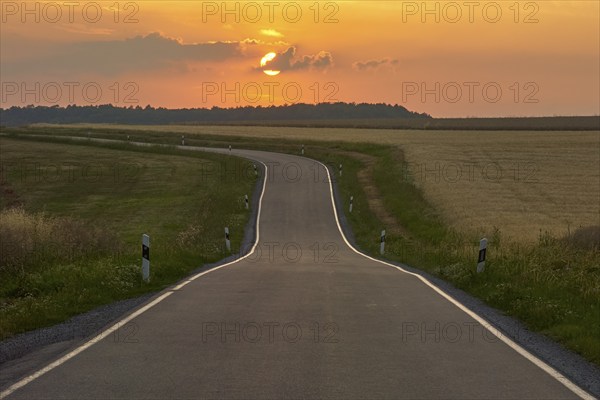 Winding country road at dusk, in midsummer, Marktheidenfeld, Main Spessart, Bavaria, Germany, Europe