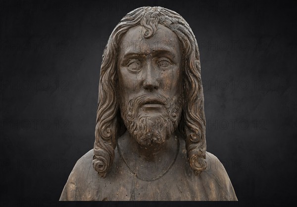 Christ on the Palm Donkey, c. 1500, detail, on dark background, Zeppelin Museum, Friedrichshafen, Baden-Württemberg, Germany, Europe