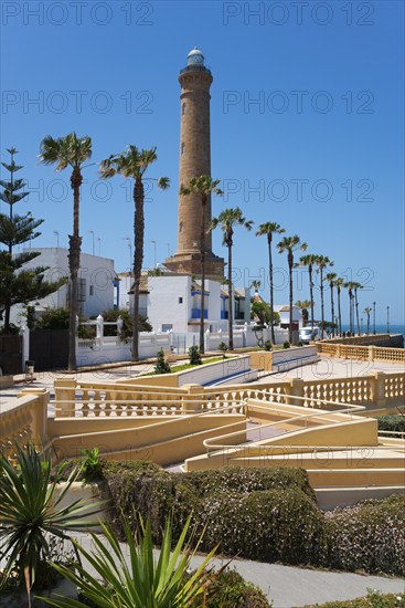 Promenade with palm trees and lighthouse on a sunny day, Faro de Chipiona, Chipiona, Cádiz province, Cadiz, Andalusia, Spain, Europe