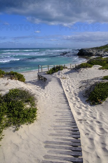 Boardwalk, sand dunes, De Hoop Nature Reserve, Indian Ocean, nature reserve near Struisbaai, Garden Route, Western Cape, South Africa, Africa