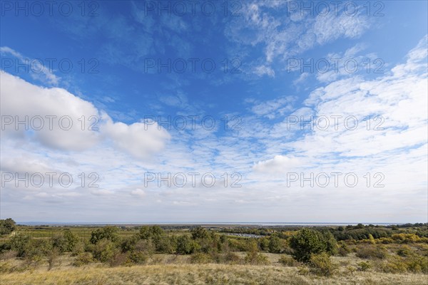 Cloud formation in the sky, low horizon, green landscape, St. Margarethen, Burgenland, Austria, Europe