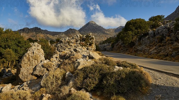 Rugged mountain road with lush vegetation and blue sky, Kallikratis, Kallikratis Gorge, Sfakia, West Crete, Crete, Greek Islands, Greece, Europe