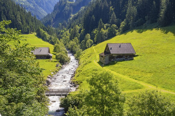 Alpine valley with two houses next to a rushing stream, surrounded by green meadows and wooded hills, Zillertal, Austria, Germany, Europe
