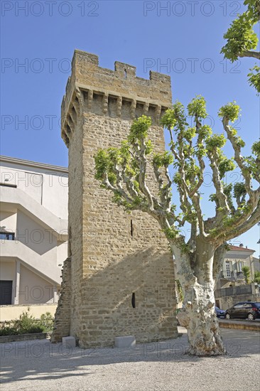 Historic Tour de Tivoli defence defence tower with battlements, town tower, Valréas, Valreas, Vaucluse, Provence, France, Europe
