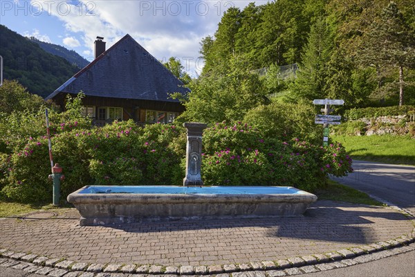 Fountain in the historic district of Geschwend, Todtnau, Black Forest, district of Lörrach, Baden-Württemberg, Germany, Europe