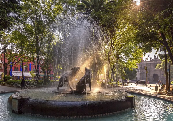 Beautiful Coyoacan streets and houses in historic district that hosts Frida Khalo museum and authentic Mexican restaurants