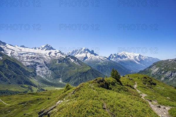 Mountain panorama with glaciated mountain peaks, Aiguille Verte with Aiguille du Midi and Mont Blanc, hike to Aiguillette des Posettes, Chamonix, Haute-Savoie, France, Europe
