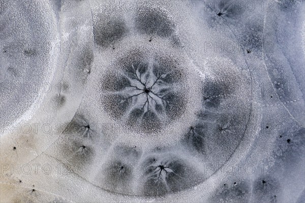 Aerial view of ice formations on a frozen lake, winter, Riegsee, Alpine foothills, Upper Bavaria, Bavaria, Germany, Europe