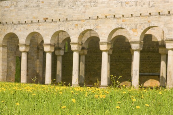 Paulinzella Monastery is a former Benedictine abbey, founded as a double monastery in Paulinzella in the Rottenbach Valley in Thuringia. The ruins of the monastery church are one of the most important Romanesque buildings in Germany