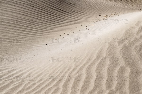 Dune landscape, Playa de Famara, Lanzarote, Canary Islands, Spain, Europe