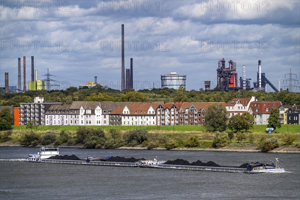 Cargo ship loaded with coal, on the Rhine near Duisburg-Laar, houses on Deichstraße, industrial backdrop of the ThyssenKrupp Steel steelworks in Bruckhausen, North Rhine-Westphalia, Germany, Europe