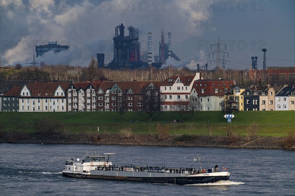 The river Rhine near Duisburg, houses on the Rhine dyke, Laar district, Thyssenkrupp Steel steelworks in Bruckhausen, cargo ship, Duisburg, North Rhine-Westphalia, Germany, Europe