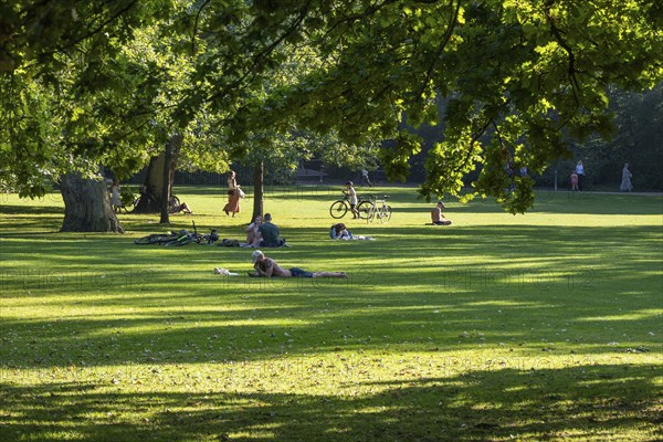 People in the park, sunlight falling through oak trees, Frederiksberg Park, Copenhagen, Denmark, Europe