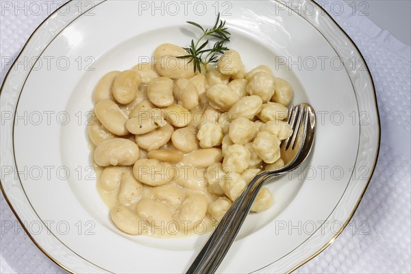 Swabian cuisine, broad beans with yeast dumplings, broad beans, horse beans, fava beans, savoury, salty, typical Swabian, home cooking, traditional cuisine, plate, food photography, studio, Germany, Europe