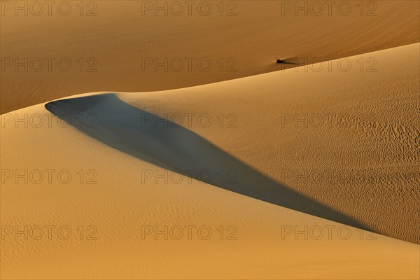 Soft golden sand dunes with shadows and curved lines in the desert, Matruh, Great Sand Sea, Libyan Desert, Sahara, Egypt, North Africa, Africa