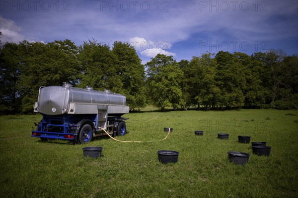 Water barrel wagon, water tank, mobile, for sheep, flock of sheep, Römerstein, former military training area Münsingen, Swabian Alb biosphere reserve, Baden-Württemberg, Germany, Europe