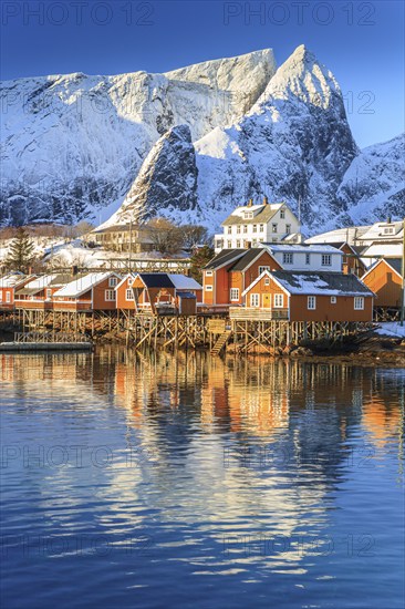 Wooden houses on a fjord in front of snow-covered mountains, morning light, reflection, winter, Reine, Moskenesoya, Lofoten, Norway, Europe